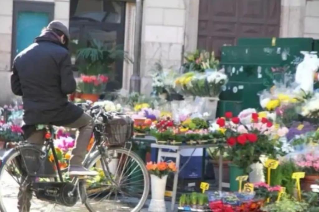 Campo De'fiori-rome By Foot Charming Aircwif Netflix *
